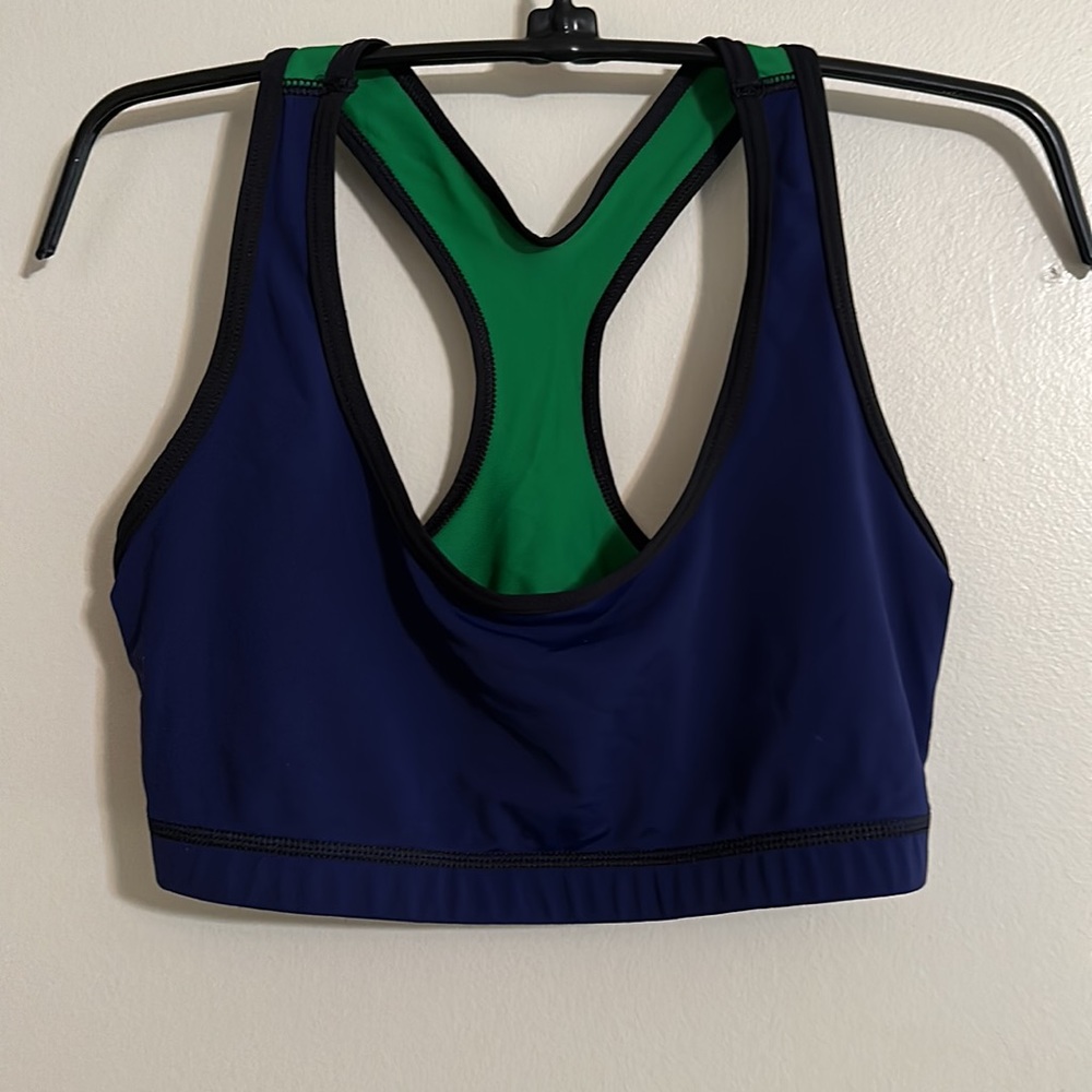 Danskin Navy and Green With Black Trim Sports Bra, Size L - Picture 1 of 4